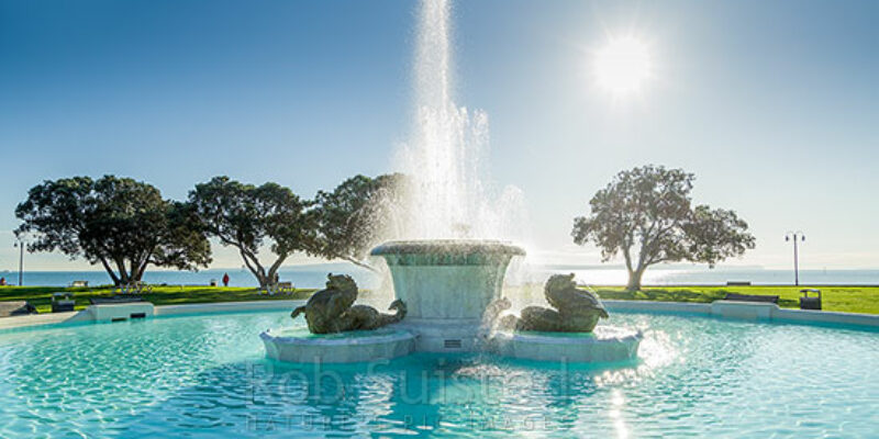 The Mission Bay Fountain